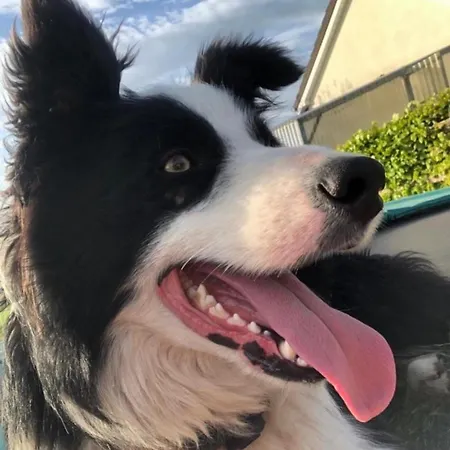 Tranquil Countryside Σπίτι διακοπών Thurles