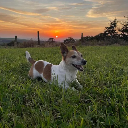 بيت للعطل Tranquil Countryside ثورل