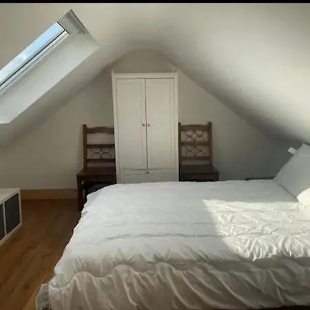 Tranquil Countryside Thurles