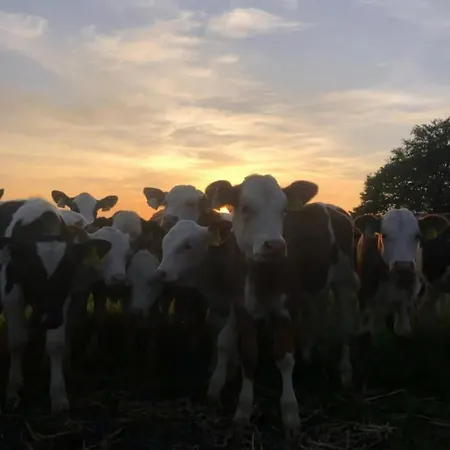 Tranquil Countryside Σπίτι διακοπών