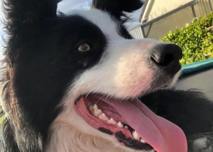 Tranquil Countryside Semesterbostad Thurles